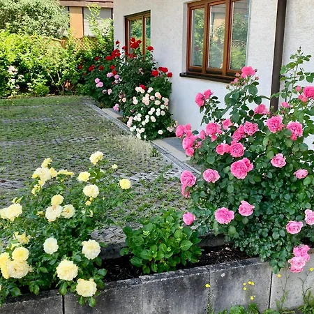 Hotel Am Buchwald